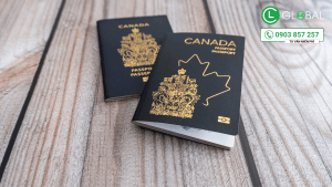 Hộ chiếu Canada, công dân Canada