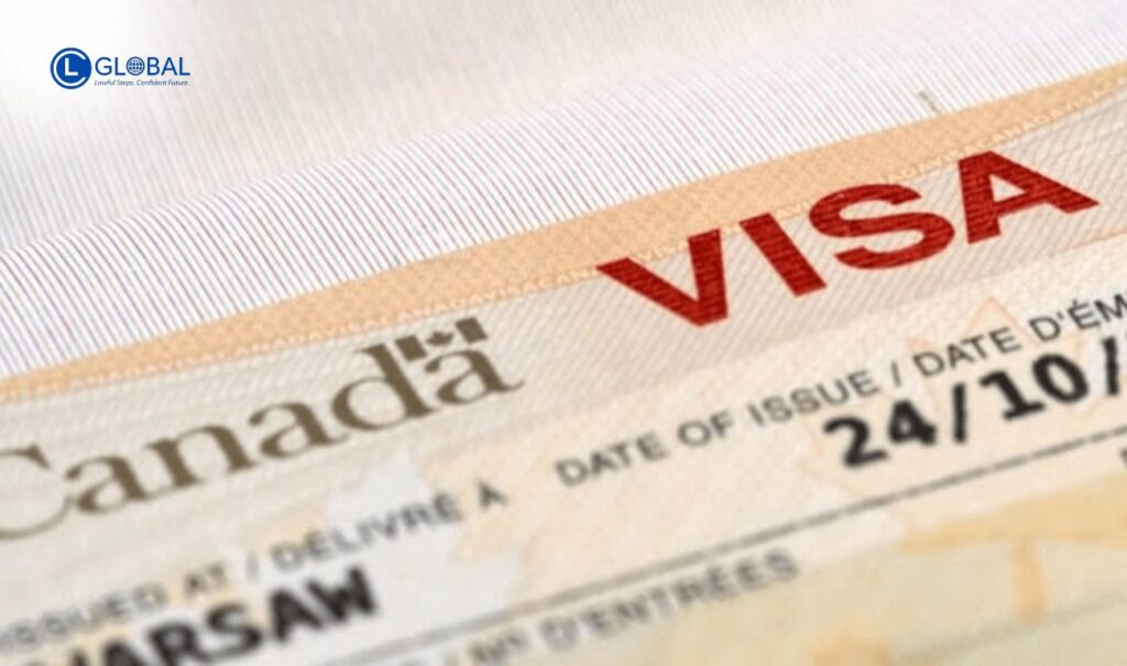 Thủ tục nộp hồ sơ Super Visa 2025 – Hướng dẫn chi tiết