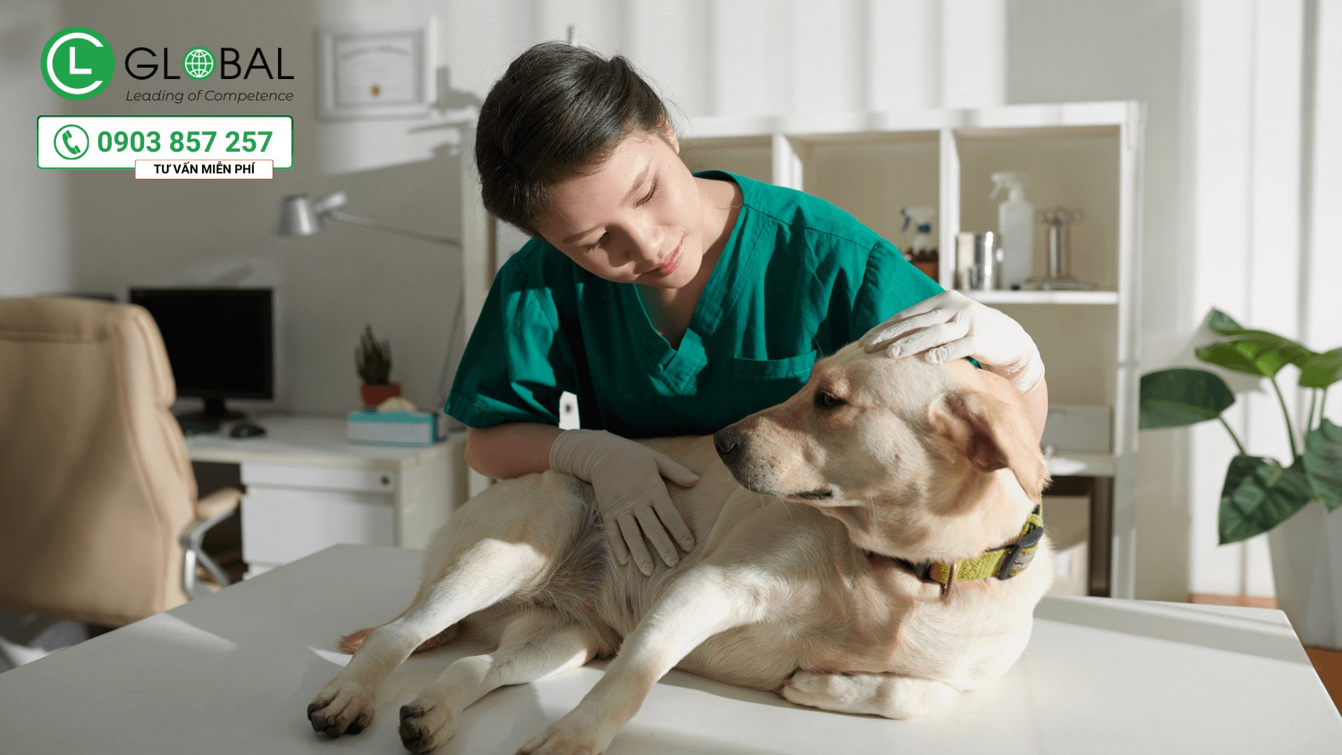 việc làm tại Canada có nhu cầu cao