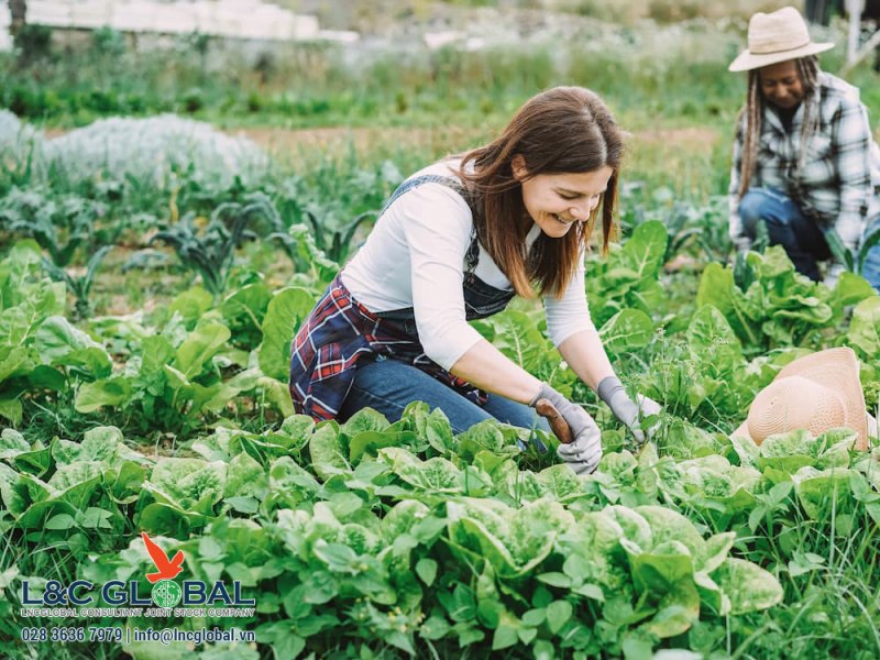 Chương trình mới giúp nông dân BC chuẩn bị tốt hơn cho thời tiết khắc nghiệt - L&C Global