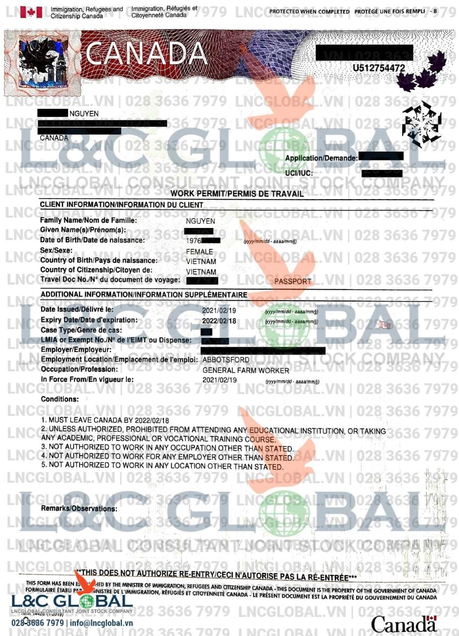 lao động định cư canada lnc global