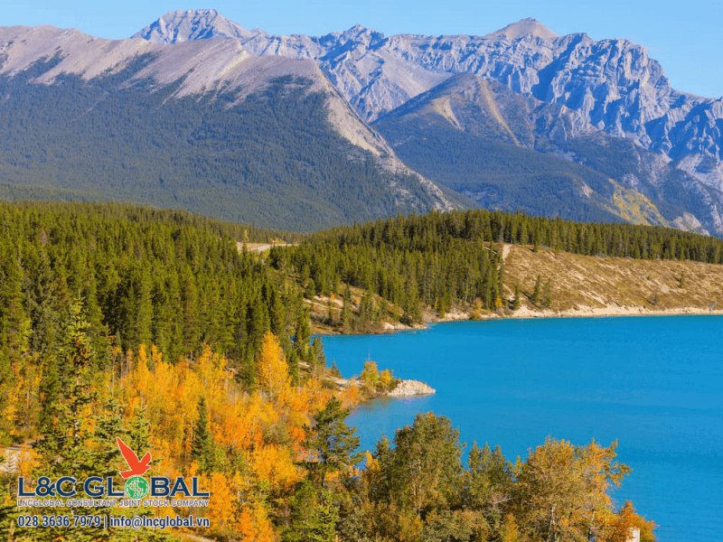 Lựa chọn tỉnh bang tốt nhất theo chương trình nhập cư Canada PNP cho gia đình bạn - L&C Global