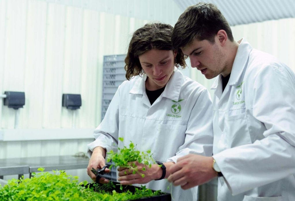 Bộ Y tế cho phép tiêm vắc xin Covifenz của Canada cho người từ 18 đến 64 tuổi L&C Global