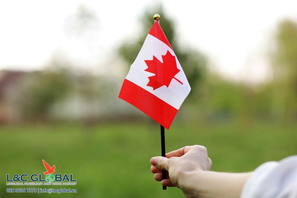 Làm thế nào để bạn định cư Canada từ tỉnh New Brunswick L&C Global