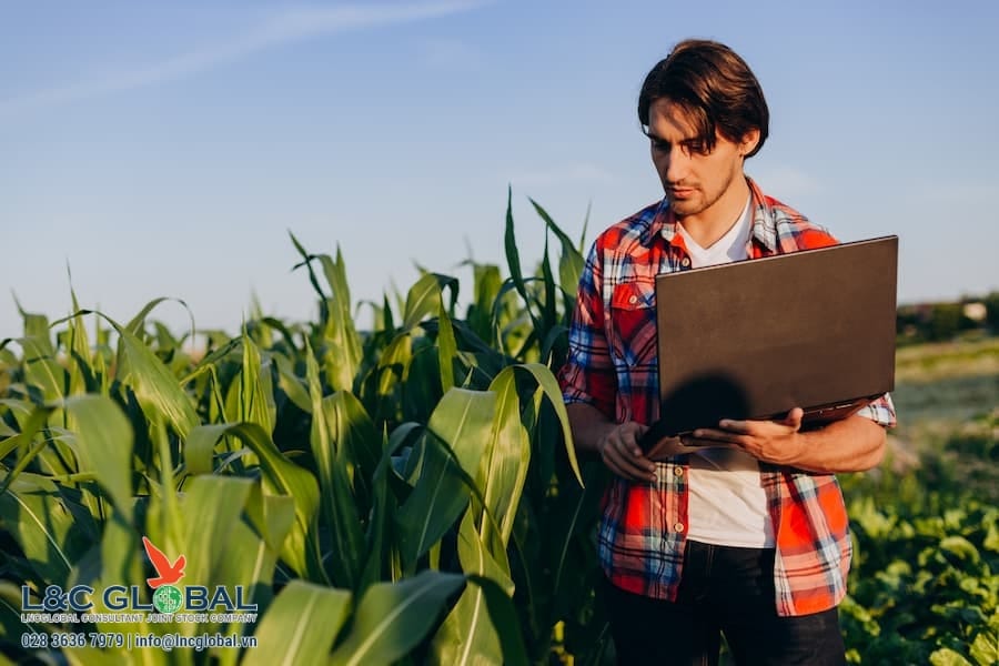 Chương trình thí điểm mới ở BC giúp tuyển dụng lao động Canada ngành nông nghiệp thời vụ trong nước