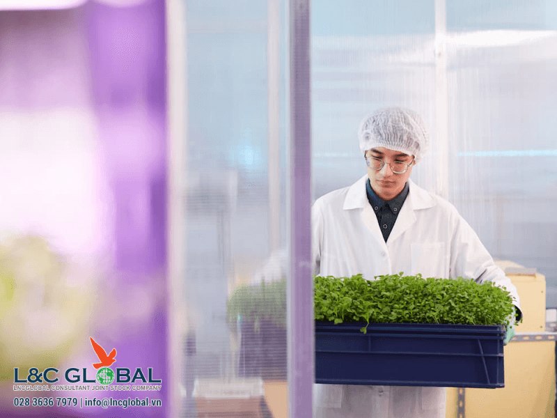 Làm việc tại Canada bằng nghề nhân viên nông trại - L&C Global