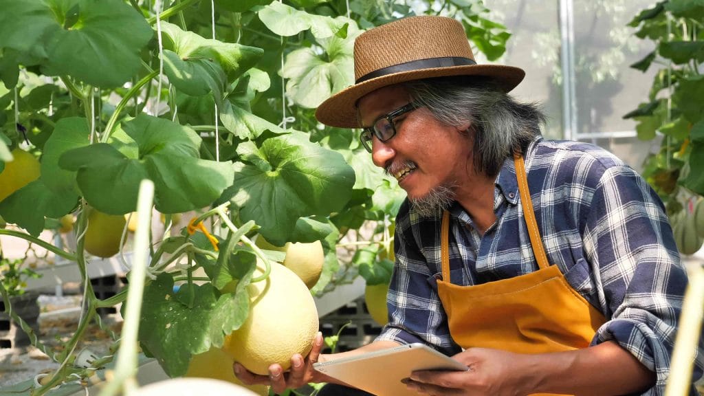 Các ngành nông nghiệp ở BC vẫn tiếp tục phát triển