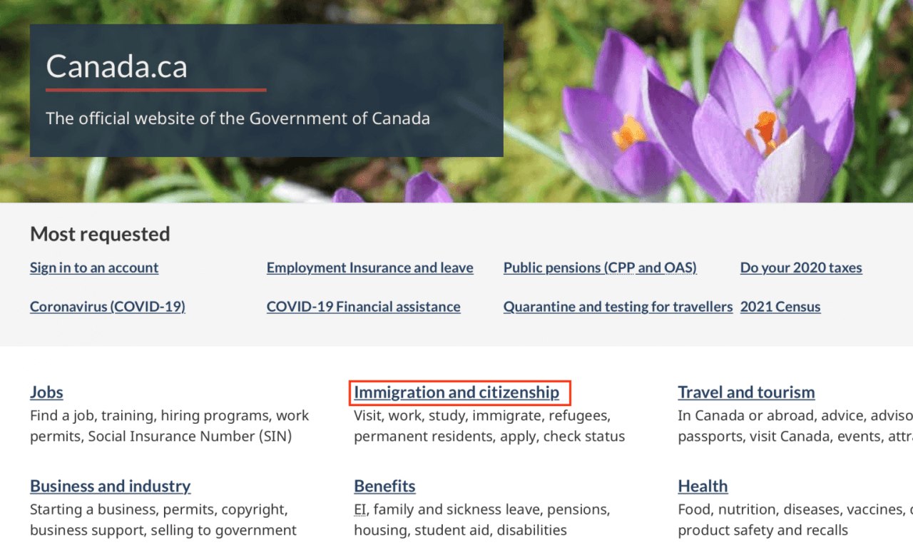 Hướng dẫn chi tiết cách kiểm tra tình trạng Visa Canada năm 2023 L&C Global