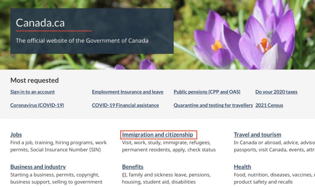 Hướng dẫn chi tiết cách kiểm tra tình trạng Visa Canada năm 2023 L&C Global