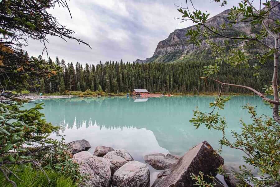 Nhiều vị trí công việc trống tại Alberta Canada