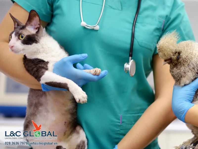 Làm thế nào để thú cưng nhập cảnh vào Canada - L&c Global