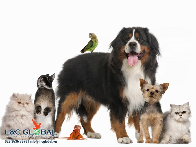 Làm thế nào để vật nuôi nhập cảnh vào Canada - L&c Global
