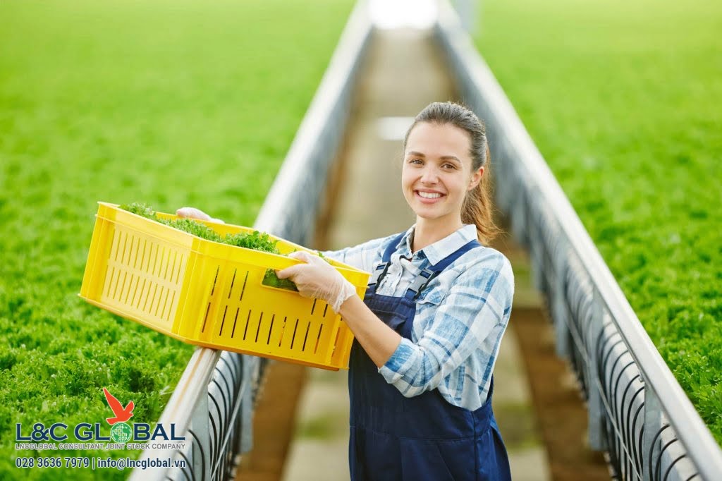 Việc làm nông trại ở Canada - Nên lựa chọn tỉnh bang nào để làm việc L&C Global