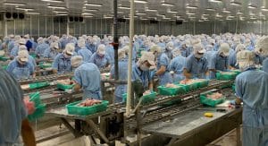 Định cư Canada ngành chế biến hải sản năm 2020