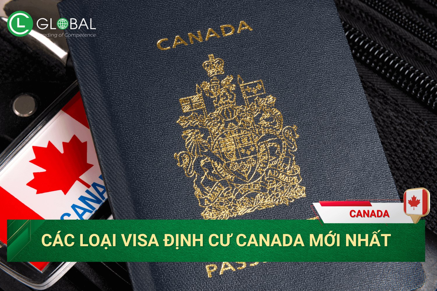 các loại visa định cư canada