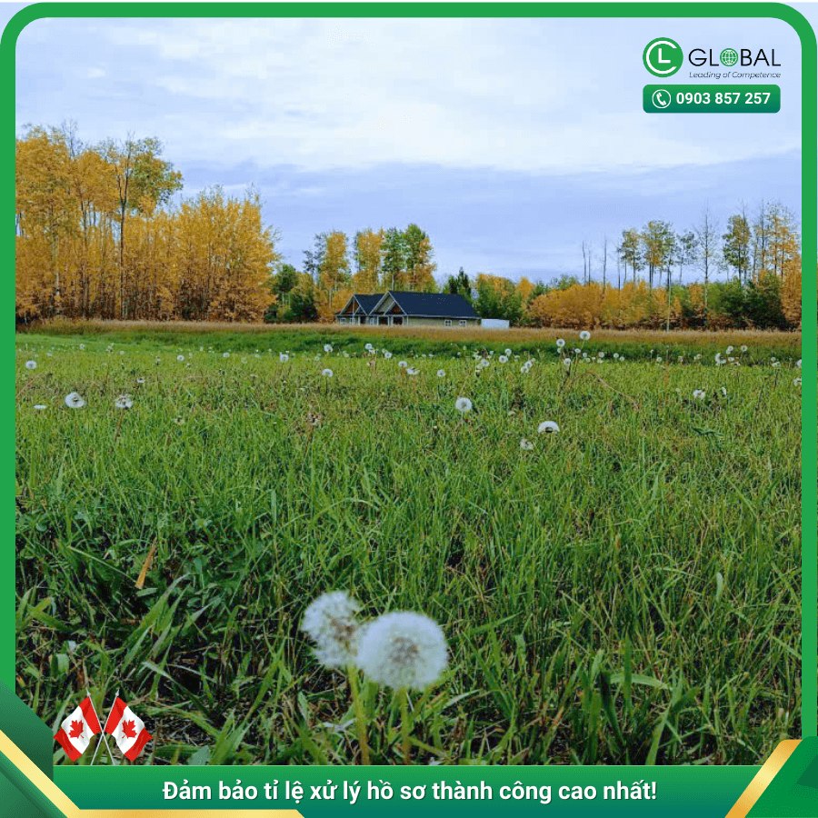 lễ tạ ơn - thanksgiving Canada