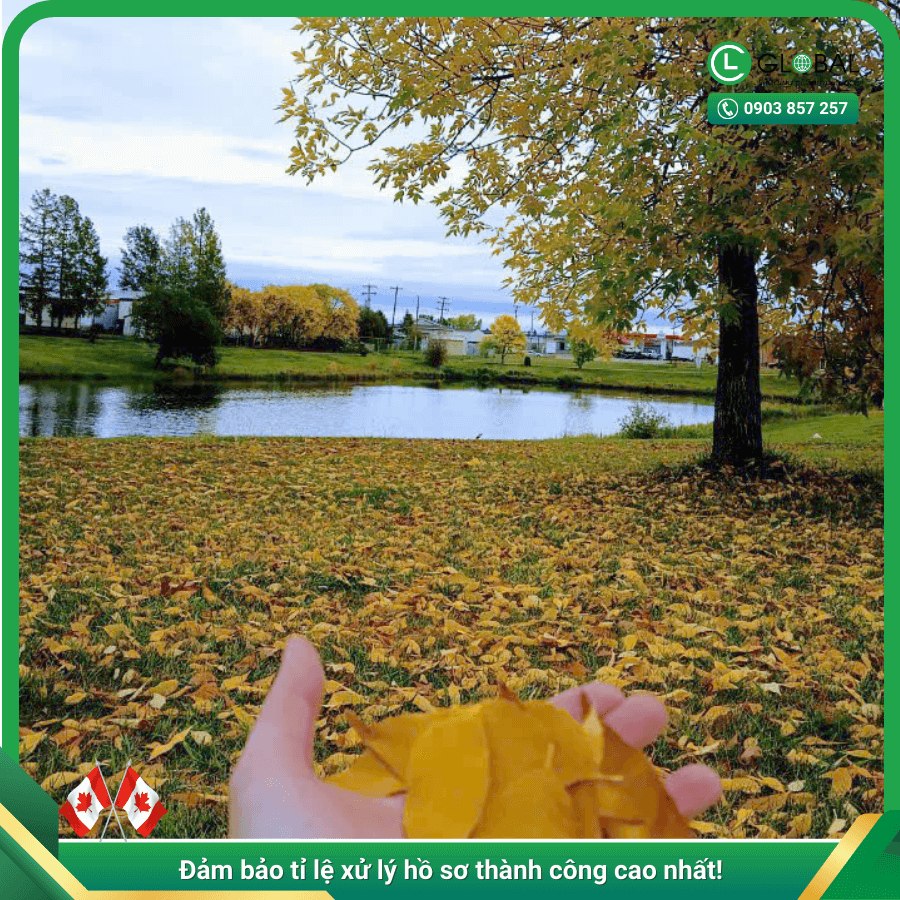 lễ tạ ơn - thanksgiving canada