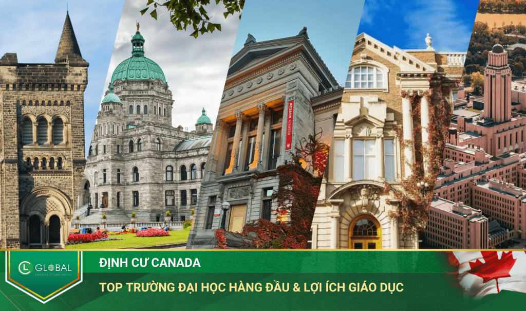 Top 10 Trường Đại Học Hàng Đầu & Lợi Ích Giáo Dục