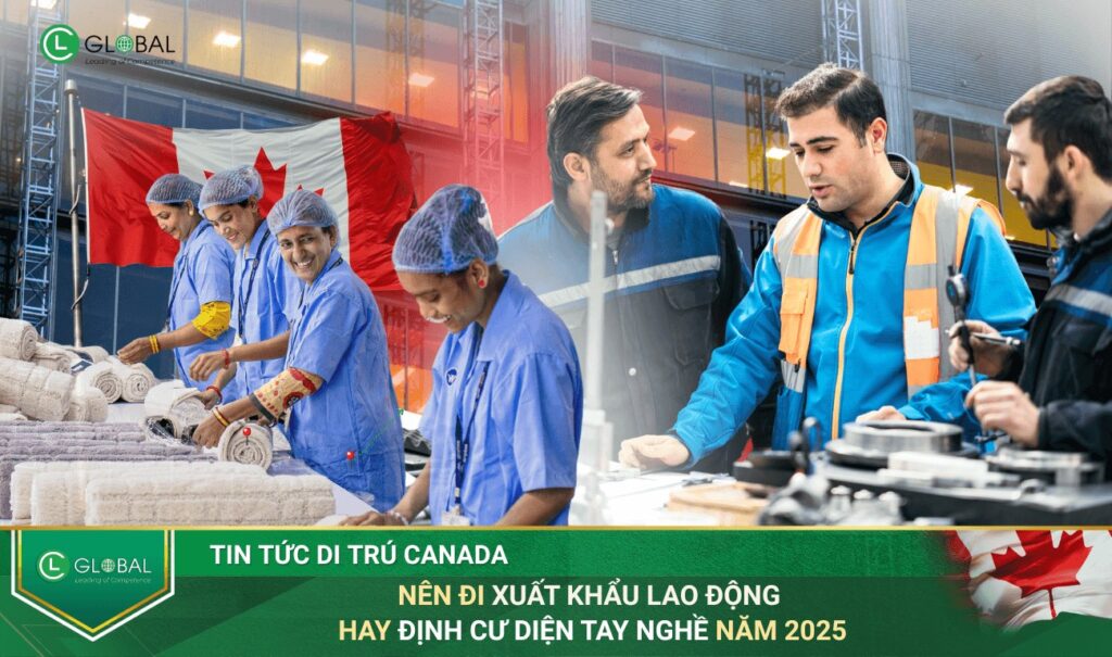Nên Đi Xuất Khẩu Lao Động Hay Định Cư Diện Tay Nghề Năm 2025