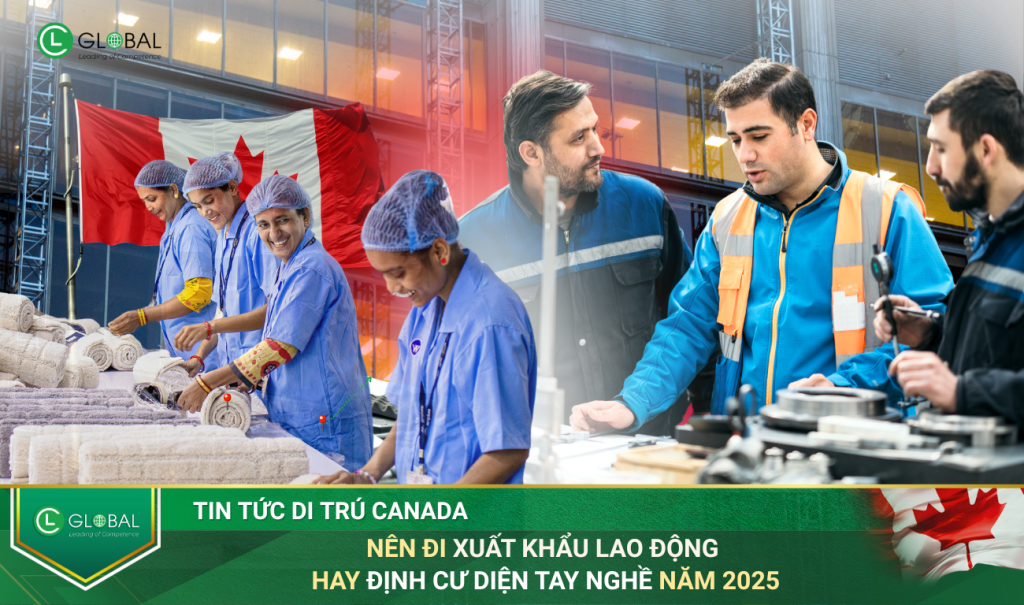 Nên Đi Xuất Khẩu Lao Động Hay Định Cư Diện Tay Nghề Năm 2025